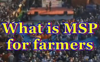 MSP, MSP, full form, msp full, msp full form, msp full form in, msp in hindi, what msp, what is msp, msp full form hindi, msp full form in hindi, msp kya hai, msp farmers, full form of msp, msp meaning, msp india, msp price, msp for farmers, msp 2024, msp in india, what is msp for farmers, msp in agriculture, msp full form in punjabi, wheat msp, msp kisan, msp full form in english, msp crops, what is msp, msp full form hindi, msp full form in hindi, msp kya hai, msp farmers, full form of msp, msp meaning, msp india, msp price, msp for farmers, msp 2024, msp in india, what is msp for farmers, msp in agriculture, msp full form in punjabi, wheat msp, msp kisan, msp full form in english, msp crops, Minimum support price, Farmer, Crop, Agriculture, Wheat, Protest, Ben Stokes, Babar Azam, World Health Organization, Manchester City F.C., Member of the Scottish Parliament, Copra, KALKI DHAM,