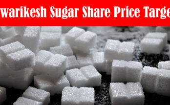 Dwarikesh Sugar Share Price Target,